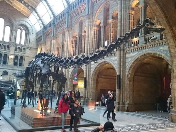 The Story of Dippy the&nbsp;Diplodocus